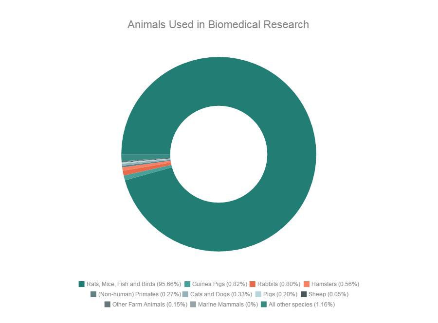 17 to 23 million animals are used in the United States for biomedical research each year, and that number is on the decline. The vast majority of these animals are mice, rats, fish, or birds. Animals used in biomedical research should be the least of our animal welfare concerns. Nearly ten billion animals are killed for food in the U.S. each year making the number of animals used in research appear rather insignificant. Statistics used in the graphic are from the Hastings Center in 2010. Graphic: Madeline Mahoney

