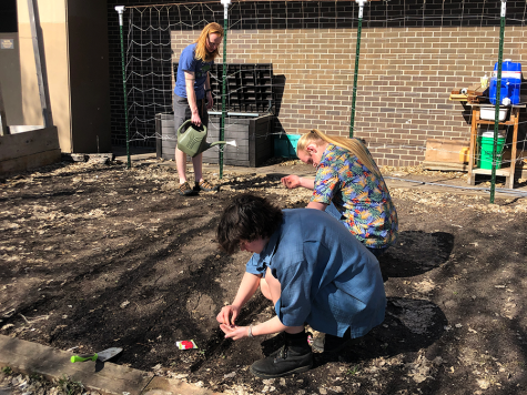 AP Environmental science students clean out the vegetable gardens to make room for radishes. “I thought it was a great way of getting youth together and just learning more about nature,” says Nasriina Abdo, a junior at South and part of the club.